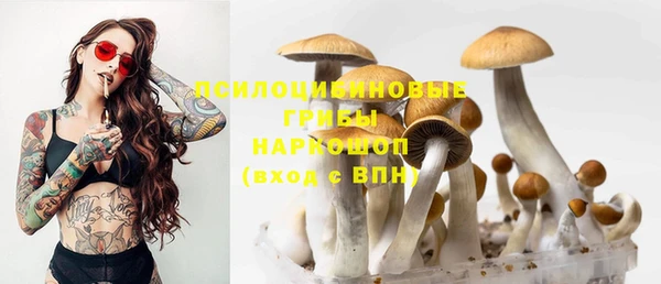 марки lsd Гусиноозёрск