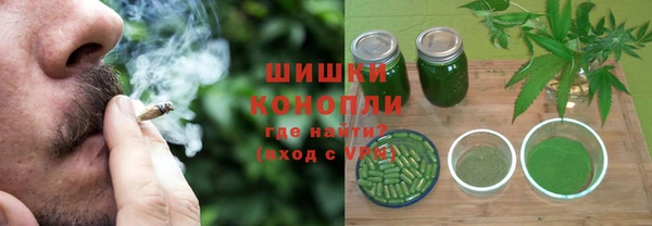 ешки Гусев
