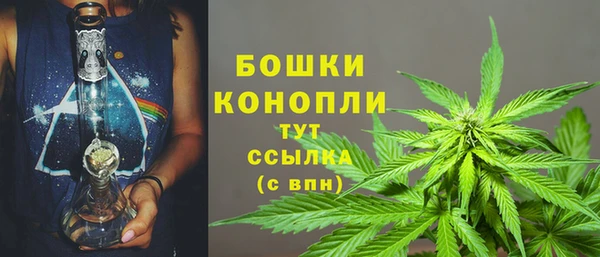 гашик Артём