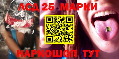 прущие грибы Будённовск