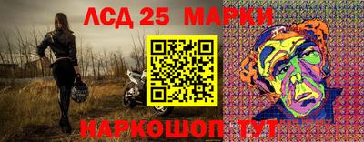 прущие грибы Будённовск