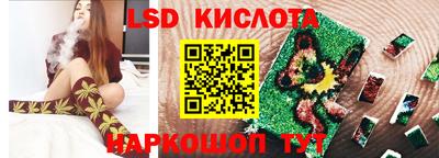 прущие грибы Будённовск