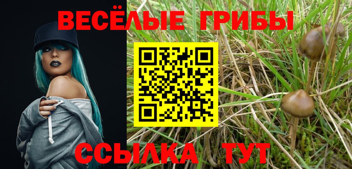 Псилоцибиновые грибы MAGIC MUSHROOMS  Псилоцибиновые грибы GOLDEN TEACHER  Гусь-Хрустальный 