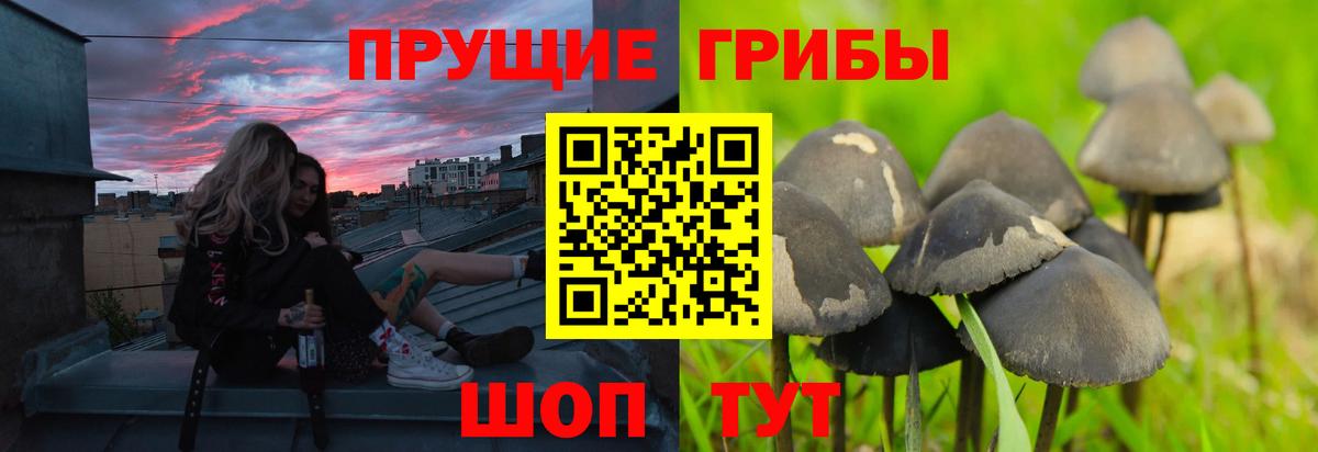 Псилоцибиновые грибы мухоморы Гусь-Хрустальный